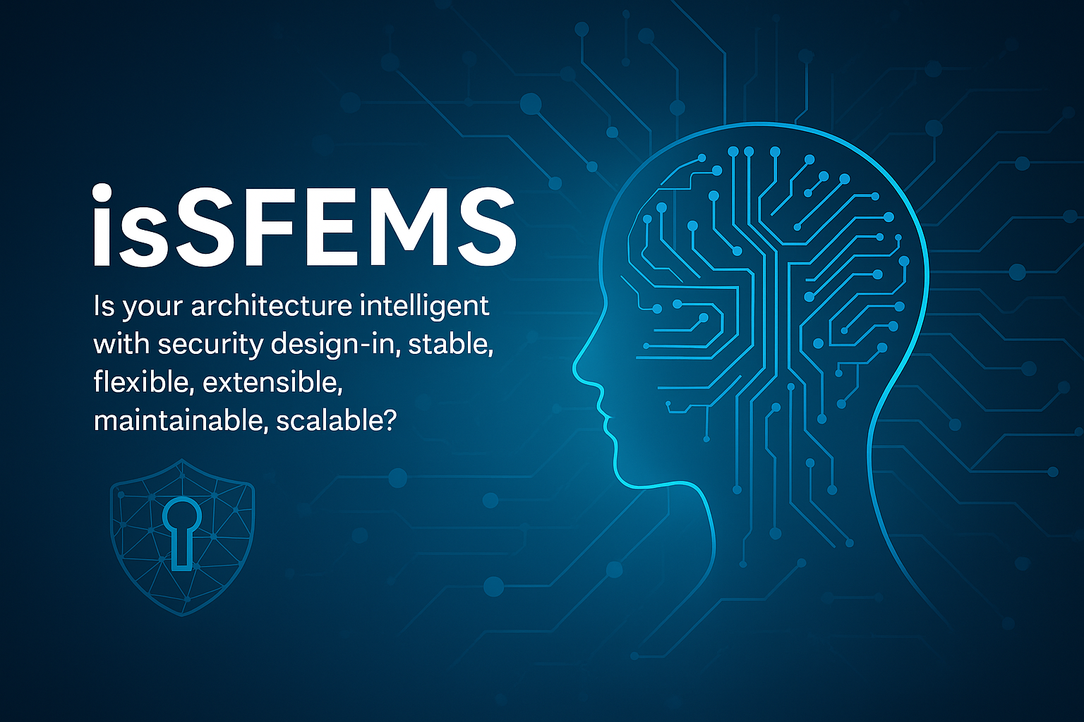 The Future isSFEMS